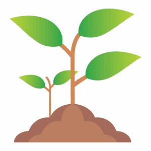 Semillas agrícolas